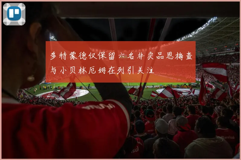 多特蒙德仅保留六名非卖品恩梅查与小贝林厄姆在列引关注